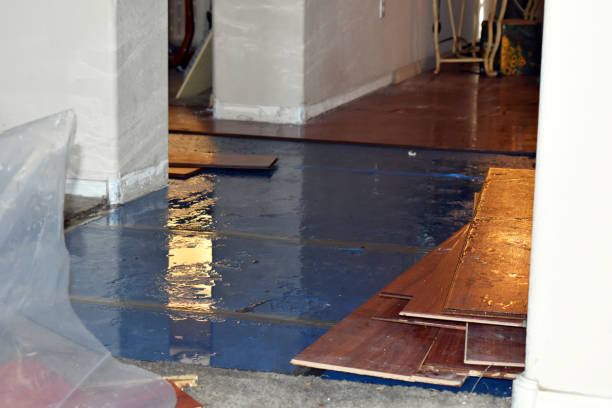 Professional Storm Water Damage Restoration technician working in Trenton, TX